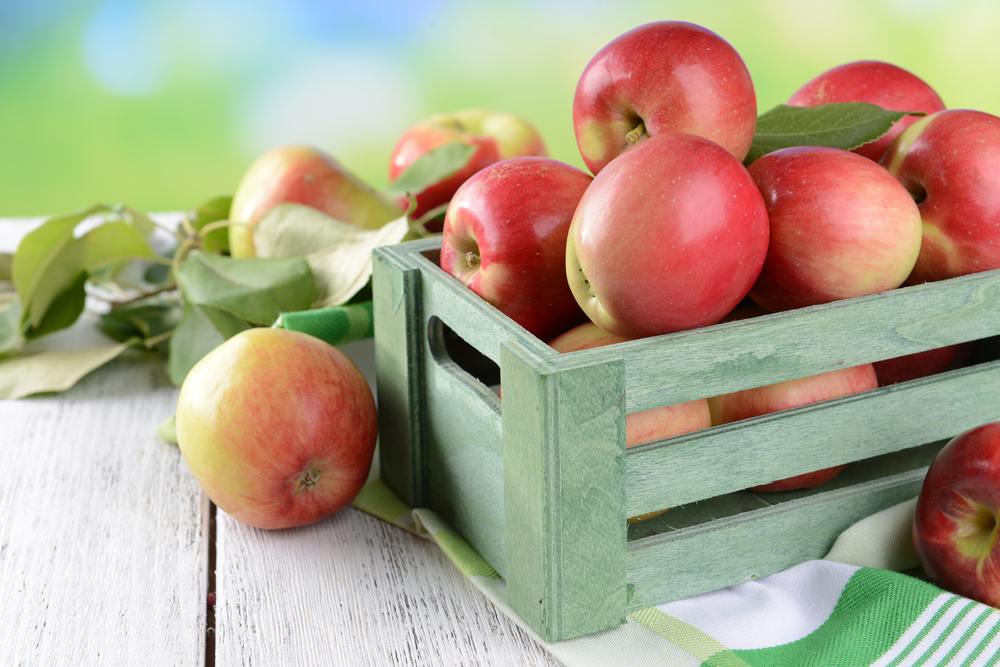 6 Foods to Help Prevent Estrogen Overload OCR NATION