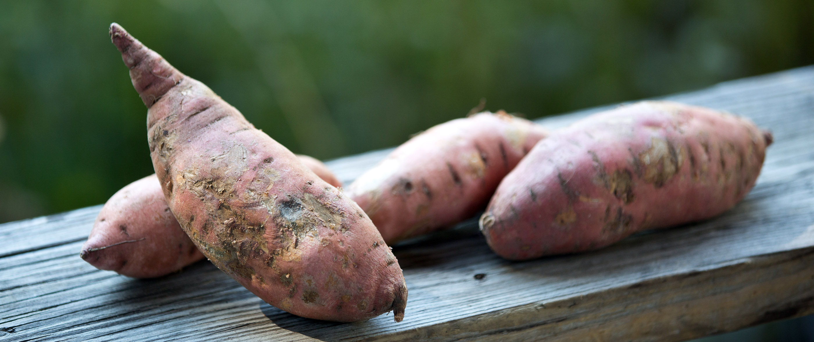 6 Foods to Help Prevent Estrogen Overload OCR NATION